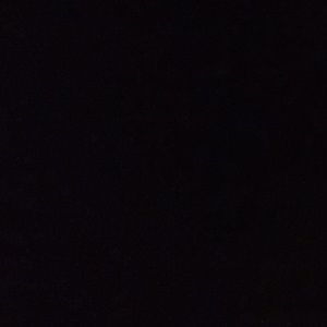 Meet your Posher, Wayne